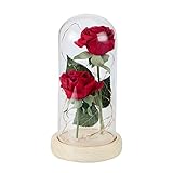 Etelux「美女と野獣」(Beauty and the Beast) 魔法の薔薇 ローズライト 造花バラランプ ガラスドームカバー 電池式 女性へのプレゼント 結婚式 記念日 誕生日 パーティー用