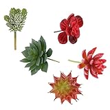 Dovewill 人工植物　人工花　実生植物　センターピース　工芸品 サボテン花