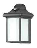 1 Light Outdoor Wall Lighting [並行輸入品]