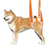 犬用介護ハーネス 犬 補助ハーネス 犬歩行補助ハーネス 介助 散歩 歩行補助 老犬 ハーネス 後ろ足 犬ハーネス 散歩 歩行サポート 安定性 小型犬 関節 サポート 中型犬 抜けない リード 介護用品 M