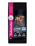 ユーカヌバ ラージアダルト 大型犬用 15kg