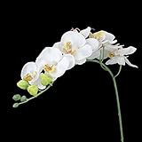 SONONIA 　2本入り　お買い得　　造花、胡蝶蘭（コチョウラン）　家庭　オフィス　装飾　インテリア　ホワイト（白）