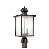 Savoy House 5-604-13 Outdoor Postmount with Seedy Shades, English Bronze Finish by Savoy House [並行輸入