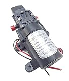 小型 電動 ウォーター ポンプ ダイヤフラム DC12V 散水 吸水 洗車 排水 等 汎用 (ニップル M10mm)