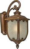 Forte Lighting 1818-01-41 Traditional 1 Light Exterior Wall Lantern, Rustic Sienna Finish with Umber