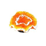 水槽用　人工珊瑚　人工水草　まるで本物 魚に無害 飾り