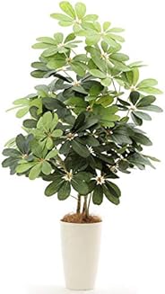 プレミアム【銀配合光触媒】人工観葉植物 フェイクグリーン「【コスパ重視】【ボリュームUP】シェフレラ/カポック DX 高さ110cm（白丸ポット CHIC7＋ヤシの繊維）」NO9209DX2（B90：西）