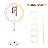 LEDリングライト 卓上型10インチUSBリングライト 色温度3200K-5600K ライトモード3つ 伸縮自在なスマホスタンド付き メイク