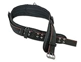 Ergodyne Arsenal 5555 5-Inch Padded Base Layer Tool/Work Belt, Medium [並行輸入品]