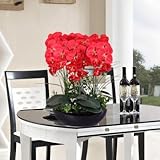 Phalaenopsis suite living room interior decoration flowers potted 100 seeds 1
