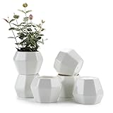 T4U 9.5CM 陶器鉢 白 八角形 多肉植物 サボテン鉢 フラワーポット プランター容器 6個入り