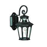 Alico Lighting 9502MM Acclaim Lighting Marbleized Mahogany Finished Outdoor Sconce with Clear Bevele