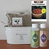 ワイルドストロベリーの栽培セット/豊作セット（液体肥料付き）プランターホワイト仕様