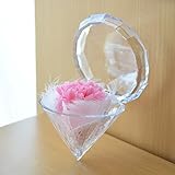 [florence du]プリザーブドフラワー ダイヤモンドケース入り カーネーション ピンク