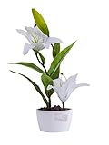 Artificial Flower Arrangements Lily with Vase Home Tabletop Decor Bonsai (White) [並行輸入品]