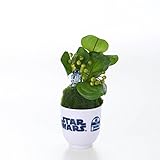 【STAR WARS】スター・ウォーズ　湯呑みに入ったフェイク盆栽　スター・ウォーズ　　Ｒ２－Ｄ２