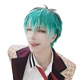 コスプレウィッグ ヒプノシスマイク 白膠木簓 ぬるでささら かつら カツラ cosplay wig 変装 仮装 コスチューム 新デザイン