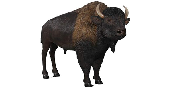 特売 アニマルビッグフィギュアシリーズ 小型 アンガス 牛 ブラック ブル 等身大フィギュア 国産 Www Camaratomeacu Pa Gov Br