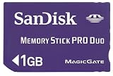 SANDISK フラッシュカード SDMSPD-2048-J95 並行輸入品