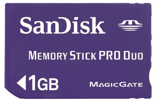 SanDisk メモリースティック PRO デュオ 1GB