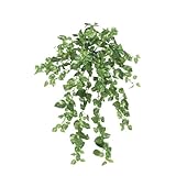 【人工植栽】　タカショー 和風下草 ポトスブッシュ　L50cm　GN-66