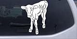 Baby Calf動物車やトラックウィンドウノートパソコンデカールステッカー – -ホワイトで6 x 4.8 in
