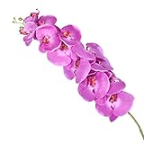 Hongma 枯れない 胡蝶蘭 ​1束入り 長103cm×幅20cm 造花 生け花 おしゃれ ドライフラワー 工芸の花 人工植物 花材 飾り ホーム アイテム ギフト オーバーサイズ 全2色 (バラ色
