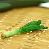 ベジタブル 食品サンプル ミニチュア マスコット アクセサリー (下仁田ネギ)