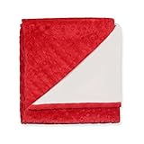 プリンセスリネンPersonalizedデラックスPlush Receiving Blanket カラー: レッド