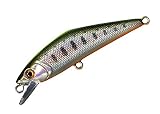 スミス(SMITH LTD) ミノー D-コンタクト72 72mm 9.5g チャートバックヤマメ #40 ルアー