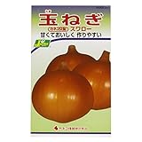カネコ種苗  野菜タネハイクオリティ 玉ねぎ スワロー 10袋セット 247