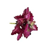 【ノーブランド 品】家　装飾　人工　セダム　多肉植物　レアルタッチ　大きな葉　人工観葉植物　レッド