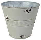 丸和貿易 植木鉢 ブリキ リコルテ ラウンドポット L アイボリー 400694701