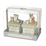 First Tooth & First Curl Boxes Set by Grasslands Road [並行輸入品]