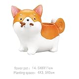 BOBORA 可愛い秋田犬　植木鉢　家庭用品　園装飾