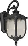 Forte照明1820 – 01 9.5 wx22.75hx13.75eアウトドア壁取り付け用燭台、 22Hx9.5Lx22W 1820-01-04 1