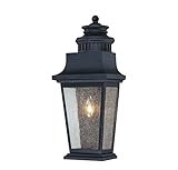 Savoy House 5-3552-25 Outdoor Sconce with Clear Seeded Shades, Slate Finish [並行輸入品]