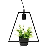 Baoblade Baoblaze 耐久性　安全　ペンダントランプ　E27吊りランプ　ライト　緑植物装飾ライト　活気　　 - タイプ４