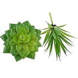 Perfeclan 緑　人工　多肉植物　植物　家庭　庭　装飾　オフィス　装飾　現実　植物　2個　