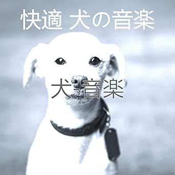 Amazon Music 快適 犬の音楽の犬 音楽 Amazon Co Jp