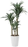 tree-h/観葉植物 造花 光触媒 幸福の木　160cm