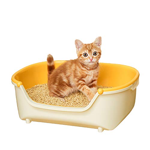 https://images-fe.ssl-images-amazon.com/images/I/41cpMRlzGuL.jpg