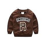 PANCY 子供服 春秋 長袖 Tシャツ キッズ トレーナー 丸い襟 男の子 女の子 かっこいい 英文字 プリント(ブラウン,110cm)