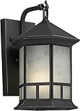 Forte Lighting 10013-01-14 Exterior Wall Light with Frosted Seeded Glass Shades, Royal Bronze [並行輸入品