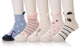 SDBINGパック5ベビーガールズボーイズ綿ノベルティ漫画動物クルー継ぎ目なしソックス4 – 6,6 – 8,8 – 12 Years Old US サイズ: M カラー: マルチカラー