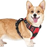 [最新型犬ハーネス]rabbitgoo 犬 ハーネス 犬用胴輪 小型犬/中型犬/大型犬 引っ張り防止 サイズ調整可能 アタマを通さず 夜間反射材 抜けない 通気性 咳き込み防止 歩行補助 老犬 介護用品 散歩 しつけ用 ソフト 抜けない 通気性 簡単着脱 おしゃれ 安全 しつけ用 訓練 歩行補助 散歩(レッド S）