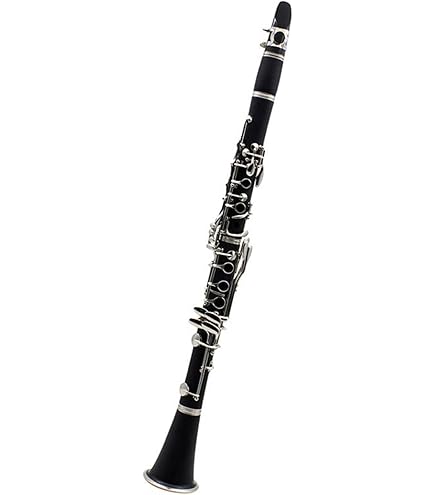 Amazon | Buffet Crampon E11 標準パッケージ B♭ソプラノクラリネット