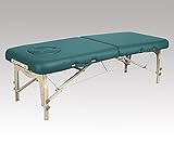 8-3432-03折りたたみベッドＮＰＳ２８Ｔ７００×１８２０×４５０～６５０ｍｍティール