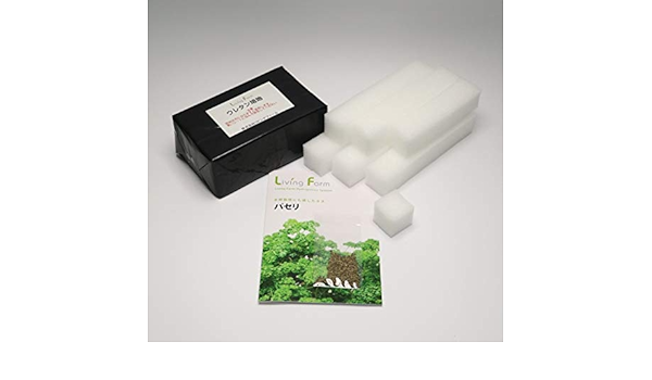 Amazon Co Jp パセリ種子付きスポンジ培地 水耕栽培用ウレタン培地60個 ホーム キッチン