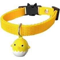 41cwQlWZ0ZL._AC_UL210_SR210,